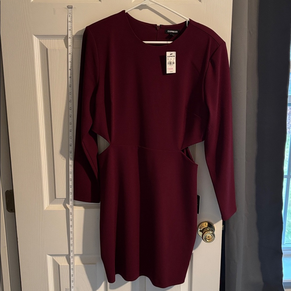 Express Deep Red Long Sleeve Dress
